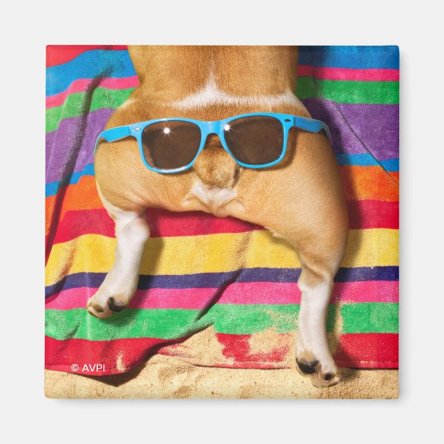 Dog Butt With Sunglasses Magnet (Front)