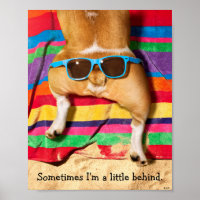 Dog Butt With Sunglasses