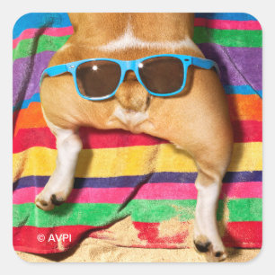 Dog Butt With Sunglasses Square Sticker