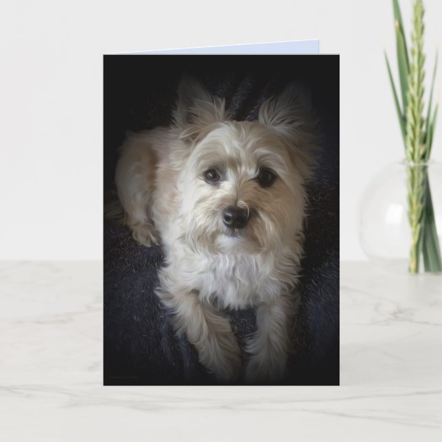Dog Cairn Terrier “Dog Lover” Blank Greeting Card (Front)