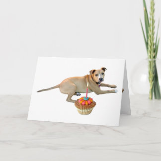 Dog Cake Birthday Card