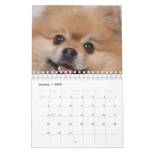 Dog Calendar