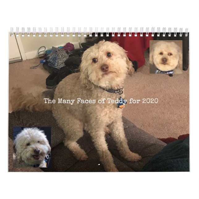 Dog Calendar (Cover)