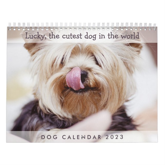 Dog Calendar 2017 Add Your Cute Photos (Cover)