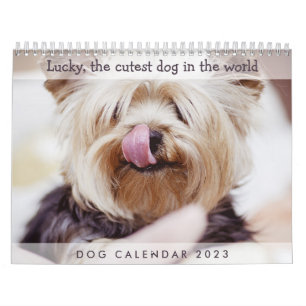 Dog Calendar 2017 Add Your Cute Photos