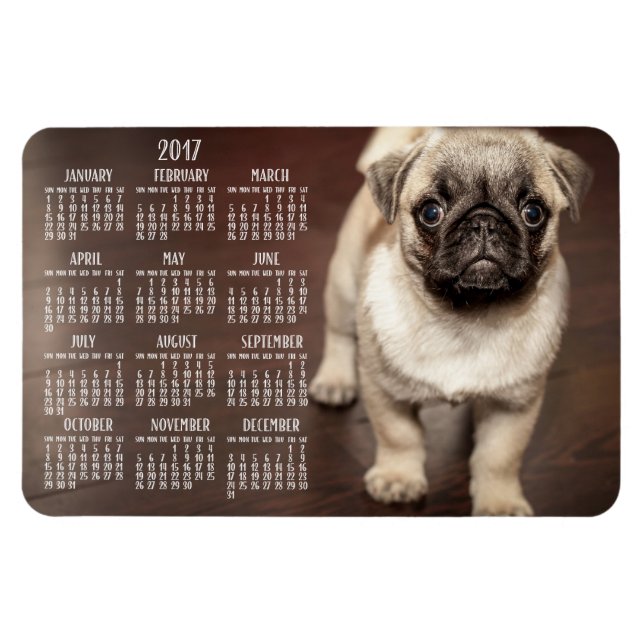 Dog calendar 2017 Photo Large Magnet 4x6 (Horizontal)