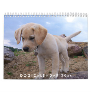 Dog Calendar 2024 With Your Photos