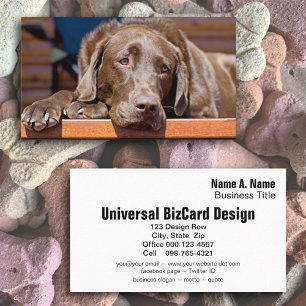 Dog Care Business Chocolate Labrador Retriever Business Card