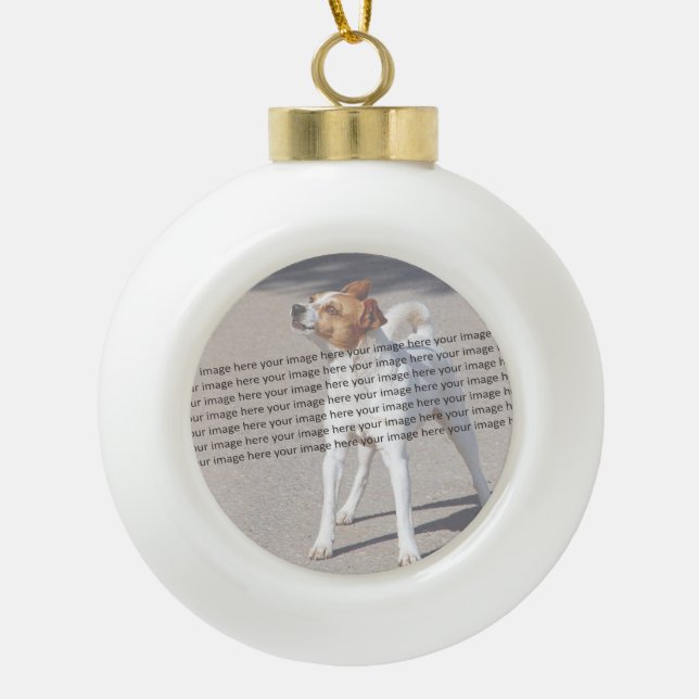 Dog Cat Bird Fab Amazing Photo Ceramic Ball Christmas Ornament (Front)