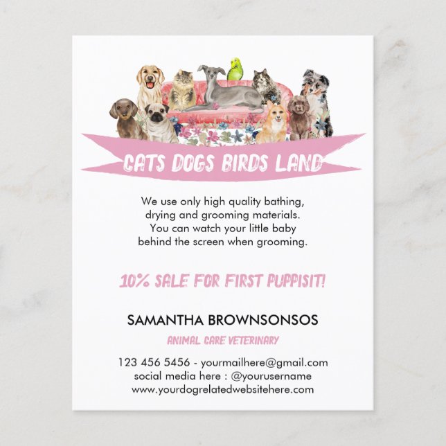 Dog Cat Bird Hotel Sofa Pet Sitting Services Flyer (Front)