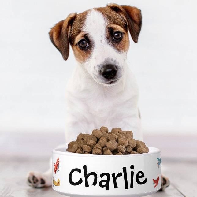 Dog Cat Bowl Cute Watercolor Aeroplane Name Custom (Creator Uploaded)