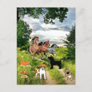 Dog Cat Chicken Horses Postcard