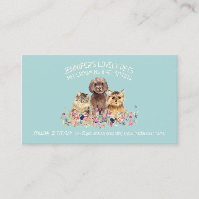 Dog Cat Grooming Petsitter Boutique veterinarian Business Card (Front)