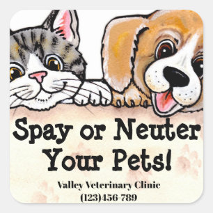 Dog Cat Kitten Message Veterinarian Animal Rescue Square Sticker