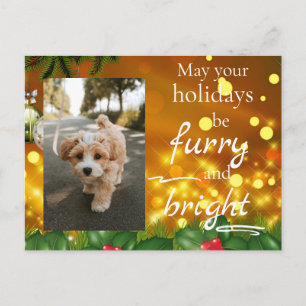 Dog Cat Pet Custom Photo Christmas Postcard Funny