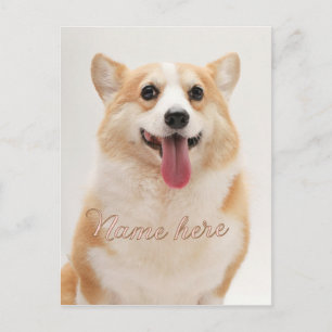 Dog cat pet name photo template simple minimal postcard
