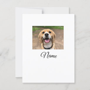 Dog cat photo add pet name cu custom personalised  postcard