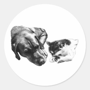 Dog & Cat Resting Together Monochrome Sticker