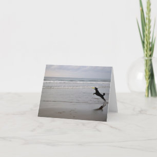 Dog Catching Beach Frisbee Note Card