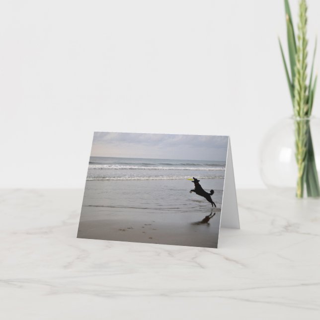 Dog Catching Beach Frisbee Note Card (Front)