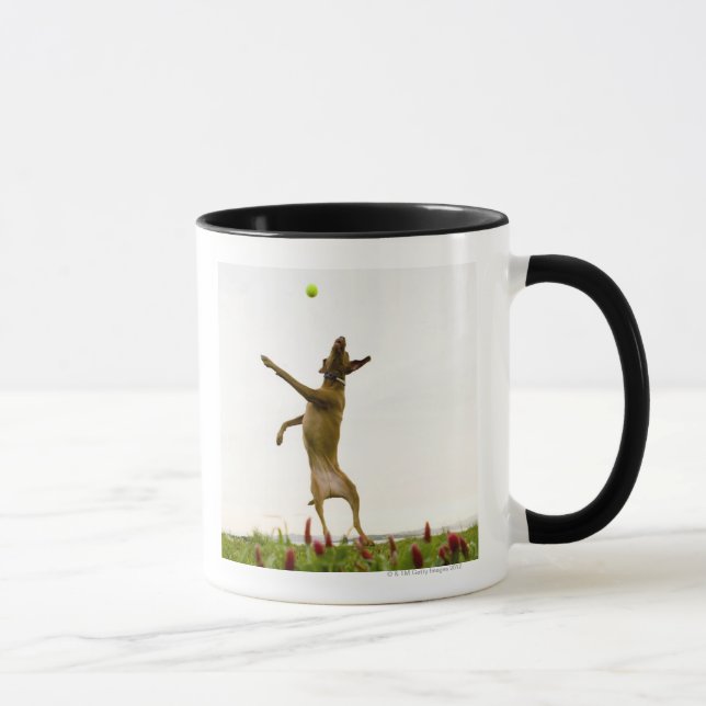 Dog catching tennis ball in mid-air mug (Right)