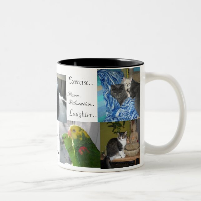 Dog,cats, birds,best friends Two-Tone coffee mug (Right)