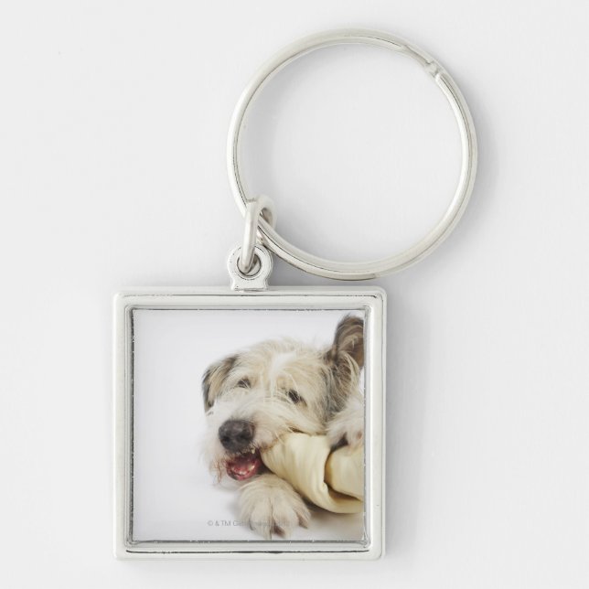 Dog Chewing on Rawhide Bone Key Ring (Front)