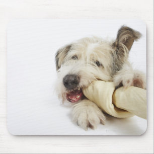Dog Chewing on Rawhide Bone Mouse Mat