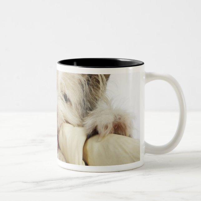 Dog Chewing on Rawhide Bone Two-Tone Coffee Mug (Right)