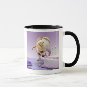Dog (chihuahua) eating birthday cake on table mug
