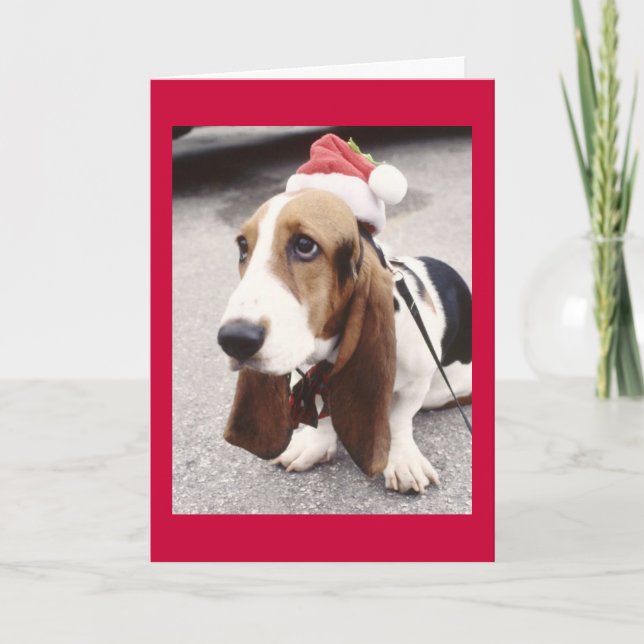 Dog Christmas Card (Front)