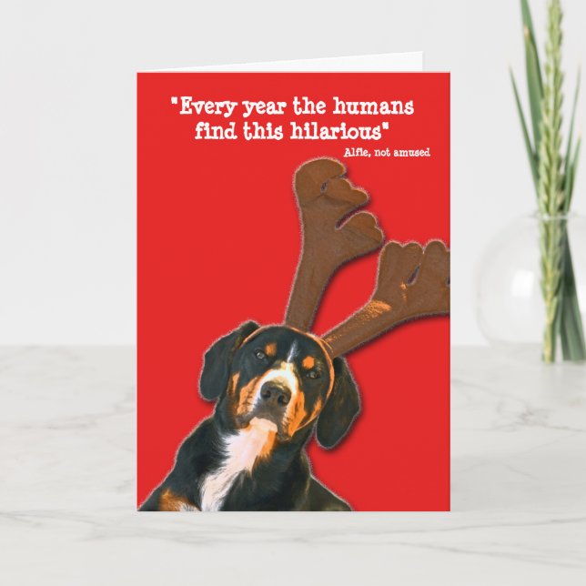 Dog Christmas Card - Humans find this hilarious (Front)
