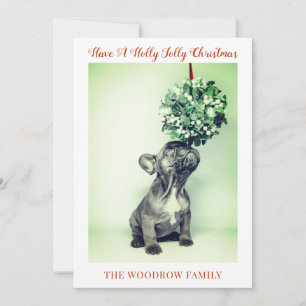 Dog Christmas Holiday Cards