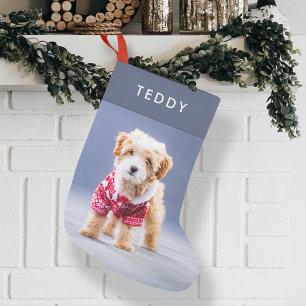 Dog Christmas   Modern Cute Blue Pet Photo Small Small Christmas Stocking