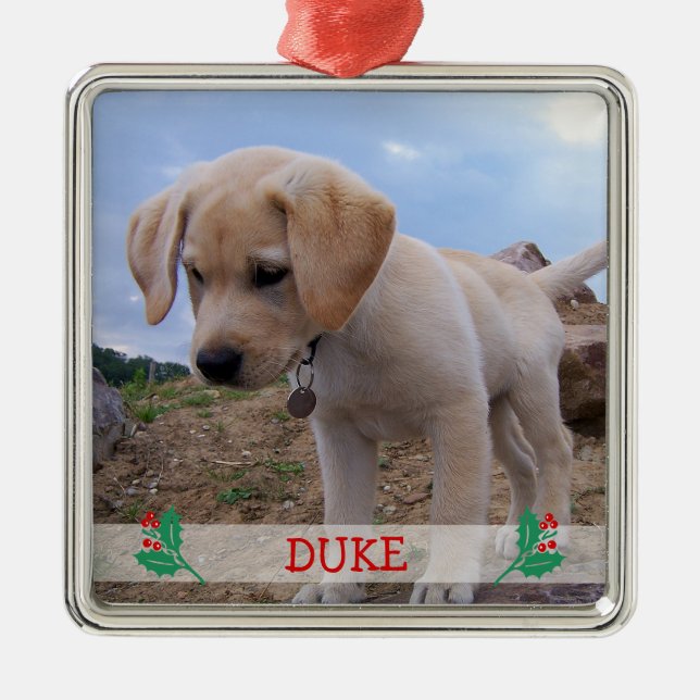 Dog Christmas Ornaments Metal Custom Photo (Front)