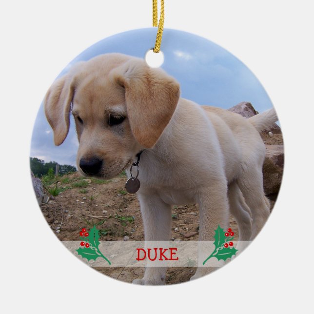 Dog Christmas Ornaments Personalised Photo (Front)