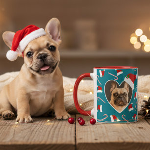 Dog Christmas Photo Santa Hat Teal Coffee Mug