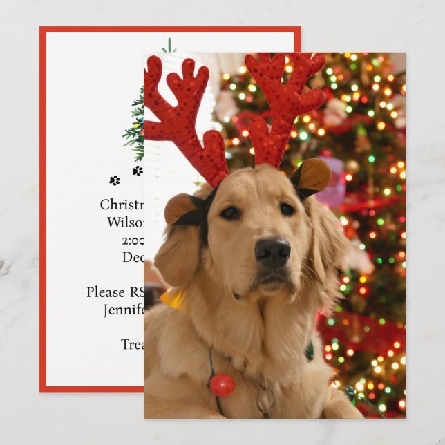 Dog Christmas Play Group Fur Friends Holiday Card (Front/Back)