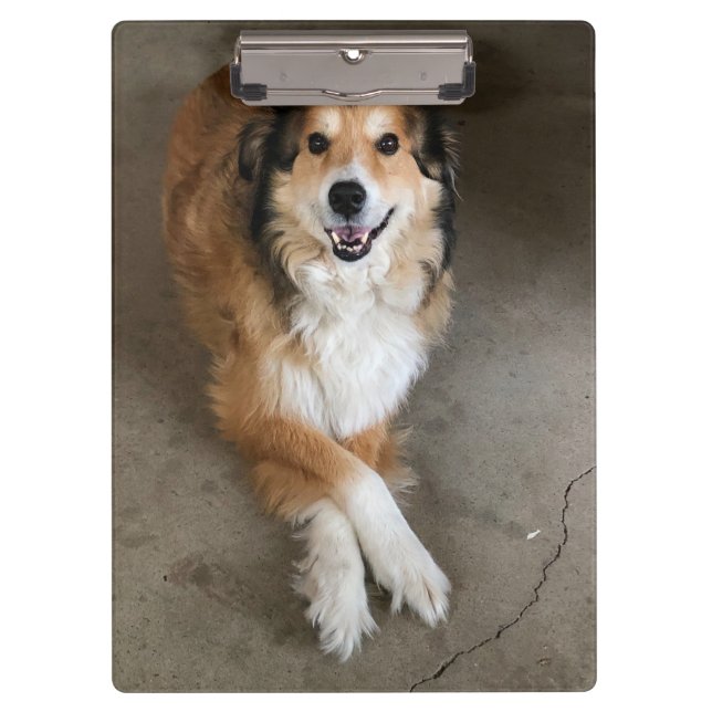 Dog Clipboard (Front)