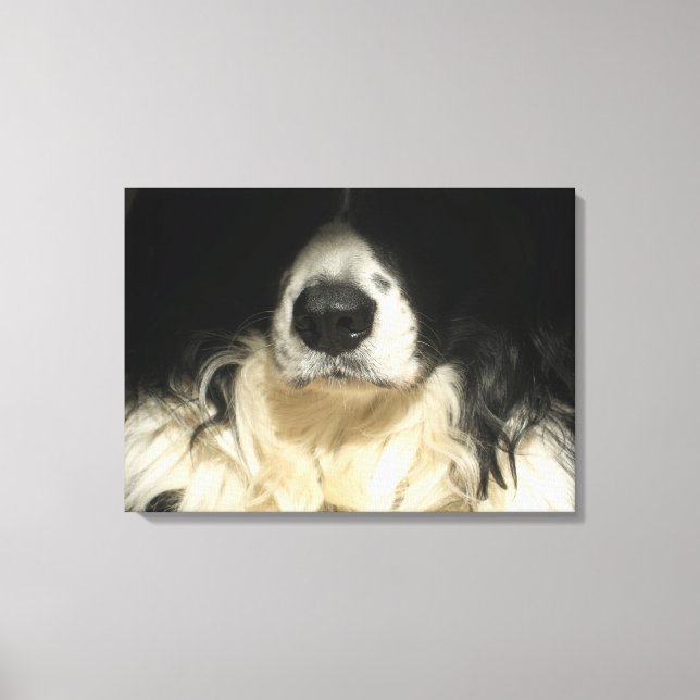 Dog close up canvas print (Front)