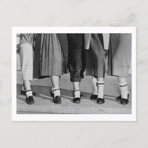 Dog Collar Anklets Postcard