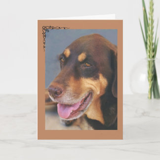 Dog Condolence Card