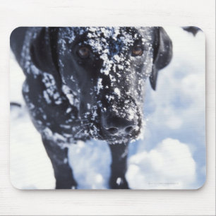 Dog covered in snow mouse mat