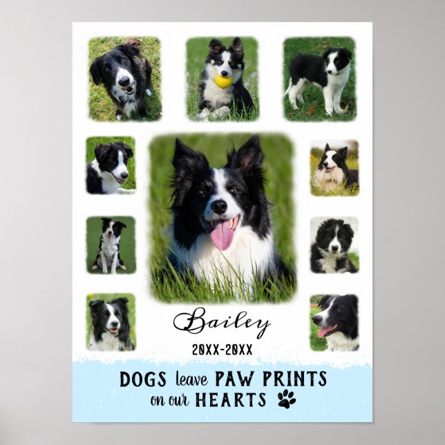 Dog Custom Photo Collage Faded Borders White Blue Poster (Front)