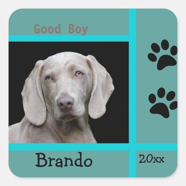 Dog Custom Photo Custom Square Sticker (Front)