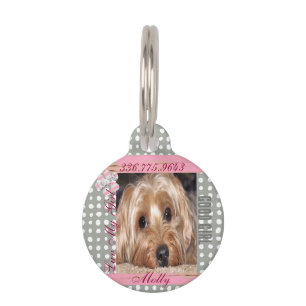 Dog Custom Photo Polka Dots  Pet ID Tag