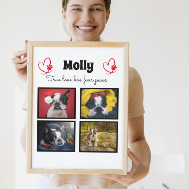 Dog customised collage 4 photos plaque (Creator Uploaded)
