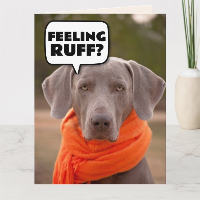 DOG CUTE GET WELL SOON Greeting Cards (Front)