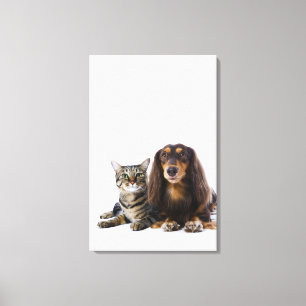 Dog (Dachshund) and cat (Japanese cat) on white Canvas Print
