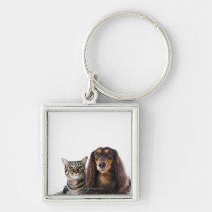 Dog (Dachshund) and cat (Japanese cat) on white Key Ring